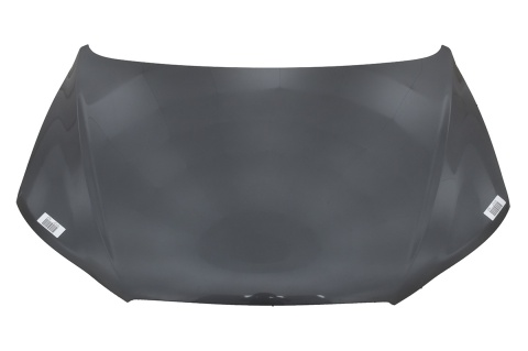 MASKA POKRYWA SILNIKA HYUNDAI SANTA FE II LIFT