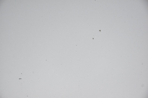 MASKA POKRYWA SILNIKA MERCEDES A W169 761