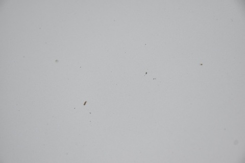 MASKA POKRYWA SILNIKA MERCEDES A W169 761