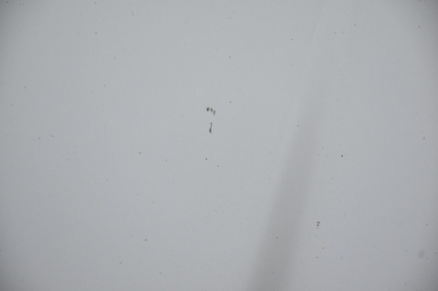 MASKA POKRYWA SILNIKA MERCEDES A W169 761