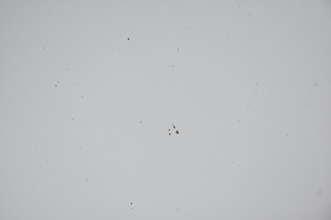 MASKA POKRYWA SILNIKA MERCEDES A W169 761