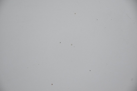 MASKA POKRYWA SILNIKA OPEL ANTARA 92U