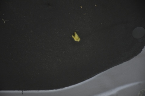 MASKA POKRYWA SILNIKA RENAULT CLIO III 3 TEKNG