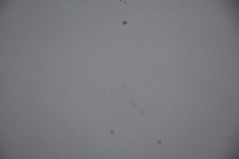 MASKA POKRYWA SILNIKA RENAULT LAGUNA III COUPE TEKNG