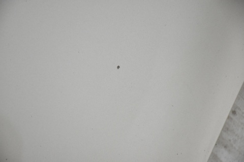 MASKA POKRYWA SILNIKA RENAULT SCENIC III 3 TED11