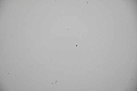 MASKA POKRYWA SILNIKA RENAULT SCENIC III 3 TED11