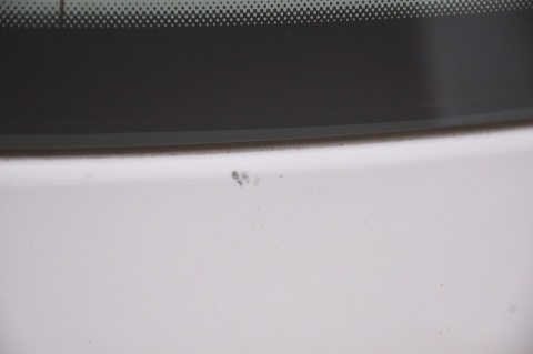 KLAPA TYLNA TYŁ AUDI A3 II 8P SPORTBACK LY9C