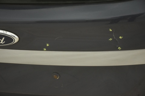 KLAPA TYLNA TYŁ FORD S-MAX I MK1 LIFT