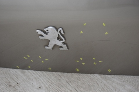 KLAPA TYLNA TYŁ PEUGEOT 3008 EVGC