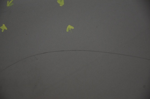 KLAPA TYLNA TYŁ PEUGEOT 3008 EVGC