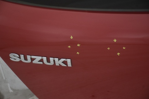 KLAPA TYLNA TYŁ SUZUKI SWIFT IV ZCK