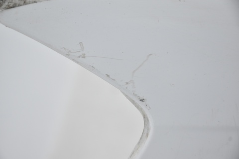 BŁOTNIK PRZEDNI PRZÓD LEWY AUDI A3 8P II LY9C