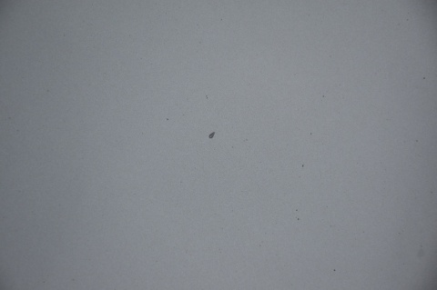 MASKA POKRYWA SILNIKA CITROEN C3 II KTH