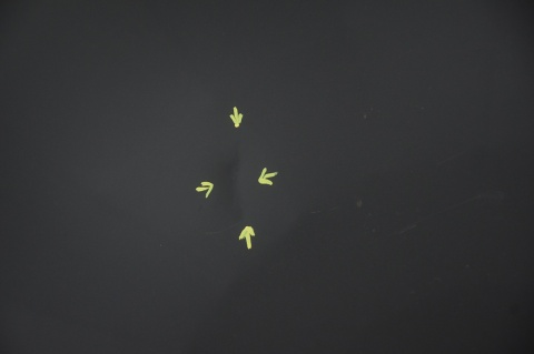 MASKA POKRYWA SILNIKA FORD S-MAX GALAXY MK3 G6