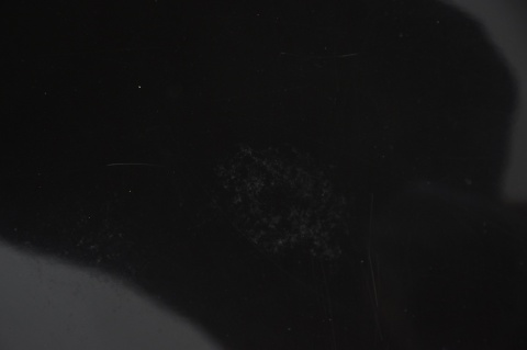 MASKA POKRYWA SILNIKA KIA CARENS III