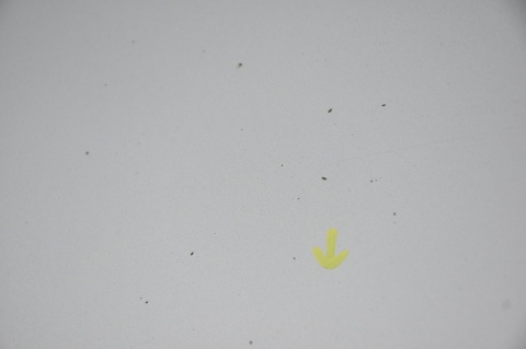 MASKA POKRYWA SILNIKA MERCEDES A W169 761