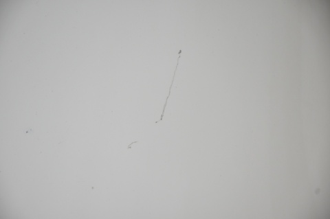 MASKA POKRYWA SILNIKA MINI ONE COOPER R56 LIFT 850/0