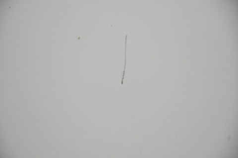 MASKA POKRYWA SILNIKA MINI ONE COOPER R56 LIFT 850/0