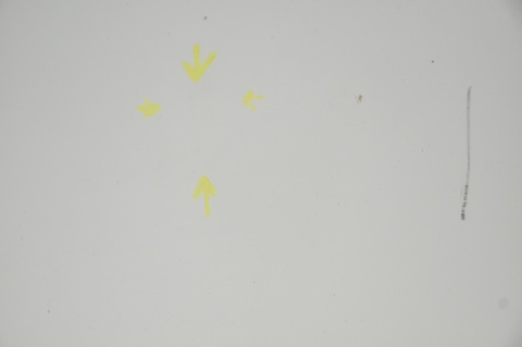 MASKA POKRYWA SILNIKA MINI ONE COOPER R56 LIFT 850/0