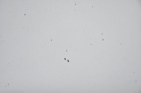 MASKA POKRYWA SILNIKA VW JETTA GOLF V KOMBI LA7W