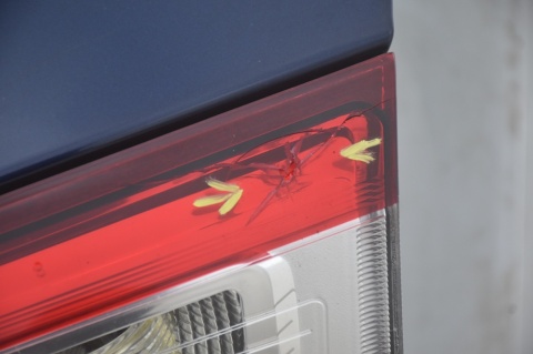 KLAPA TYLNA TYŁ FORD C-MAX II MK2