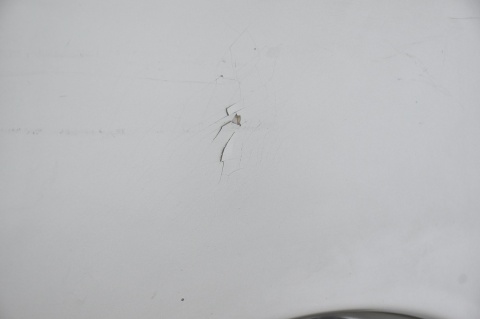 ZDERZAK PRZEDNI PRZÓD FORD FOCUS MK3 III