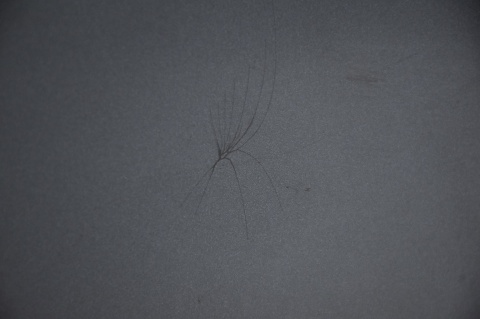 ZDERZAK PRZEDNI PRZÓD VW GOLF V 5