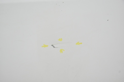 DRZWI BOCZNE PRZESUWNE PRAWE CITROEN JUMPY EXPERT II SCUDO