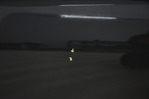 DRZWI PRZEDNIE PRZÓD LEWE BMW 1 F21