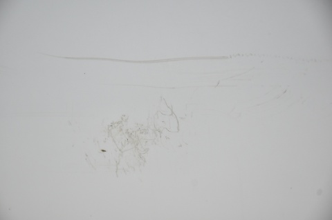 DRZWI PRZEDNIE PRZÓD LEWY MAZDA 6 GH II