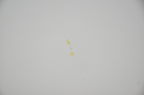 DRZWI PRZEDNIE PRZÓD LEWY MAZDA 6 GJ III KOMBI