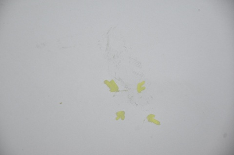 DRZWI PRZEDNIE PRZÓD PRAWE MASTER III SREBRNE MOVANO