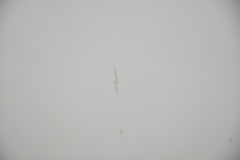 DRZWI PRZEDNIE PRZÓD PRAWE MAZDA 6 GJ III KOMBI