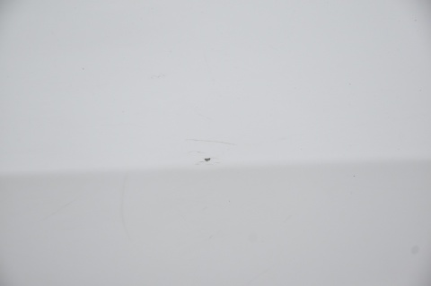 DRZWI TYLNE TYŁ PRAWE FORD C-MAX GRAND MK2