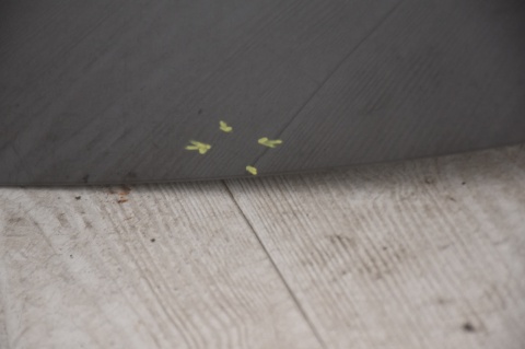 KLAPA BAGAŻNIKA TYLNA TYŁ CITROEN DS3 KTH/KED