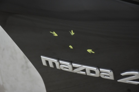 KLAPA TYLNA TYŁ MAZDA 2 II DE