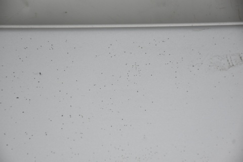 KLAPA TYLNA TYŁ MINI ONE COOPER R50