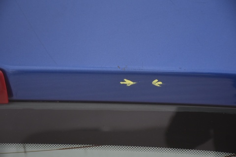 KLAPA TYLNA TYŁ RENAULT CLIO III TERNA