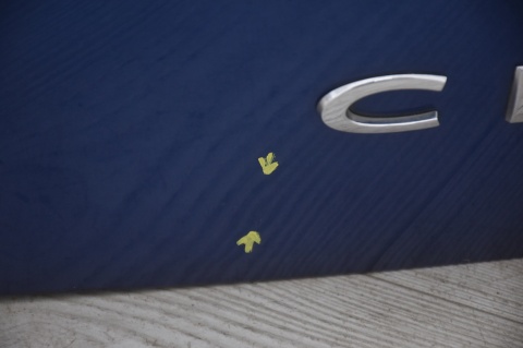 KLAPA TYLNA TYŁ RENAULT CLIO III TERNA