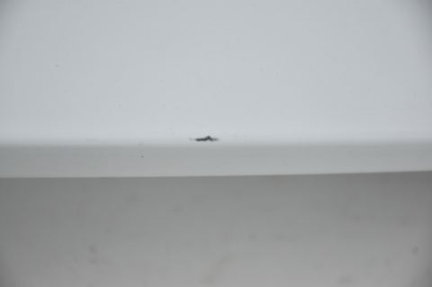 LOTKA SPOILER KLAPY FORD FOCUS MK3 III