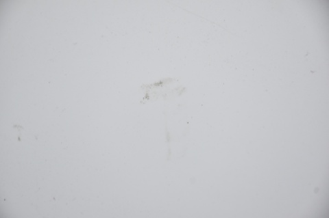 LOTKA SPOILER KLAPY FORD FOCUS MK3 III