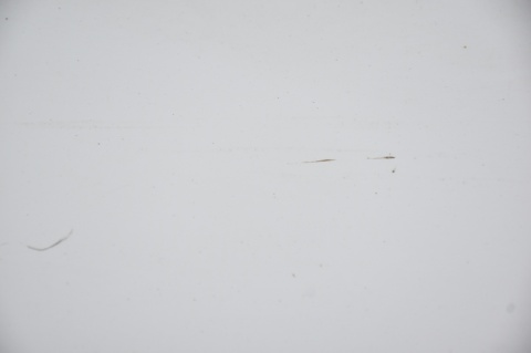 LOTKA SPOILER KLAPY FORD FOCUS MK3 III