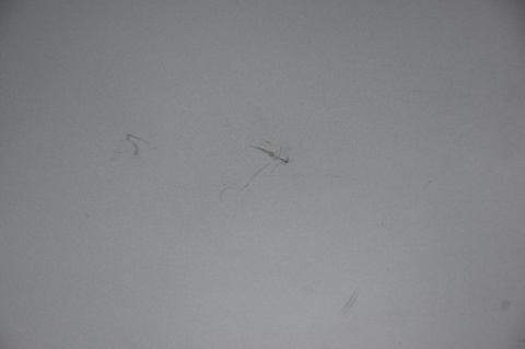 LOTKA SPOILER KLAPY VOLVO V40 II