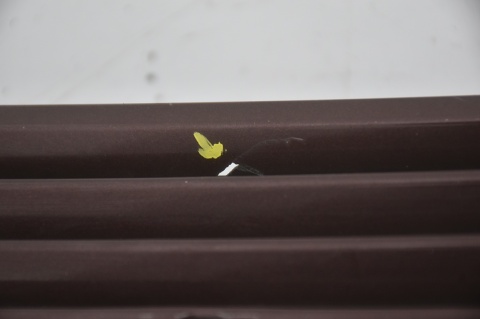 WLOT MASKI KRATKA MERCEDES W203 2038800205