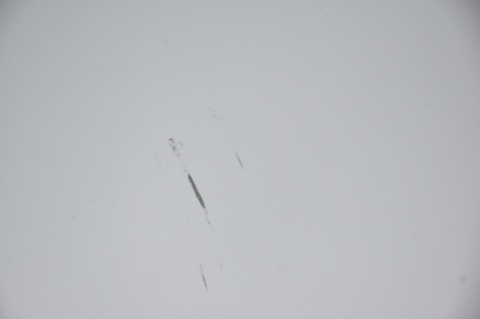 MASKA POKRYWA SILNIKA JAGUAR XE GX73-19H237-AB