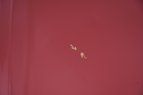 MASKA POKRYWA SILNIKA NISSAN QASHQAI I J10