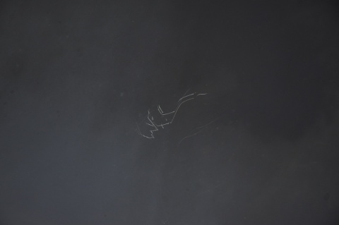 MASKA POKRYWA SILNIKA TOYOTA RAV4 III