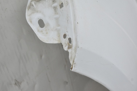 BŁOTNIK PRZEDNI PRZÓD LEWY FORD S-MAX MK1 F7