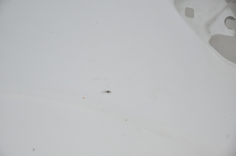 BŁOTNIK PRZEDNI PRZÓD LEWY FORD S-MAX MK1 F7