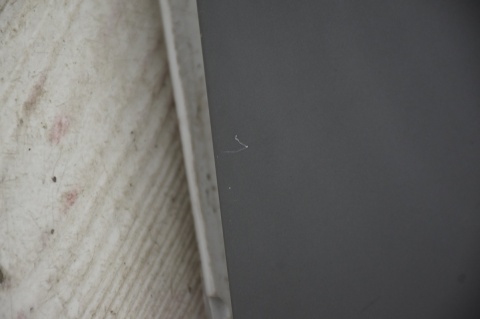 BŁOTNIK PRZEDNI PRZÓD PRAWY AUDI A4 B7 LX7Z